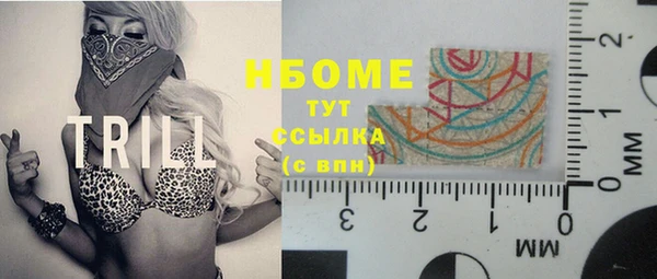 стаф Гусев