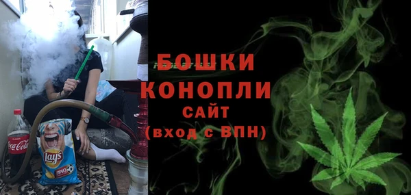 стаф Гусев