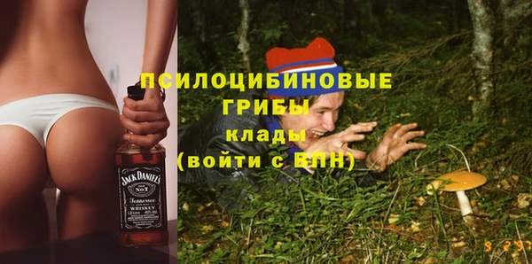 ALPHA PVP Гусь-Хрустальный