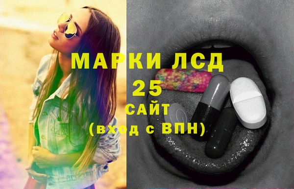 стаф Гусев