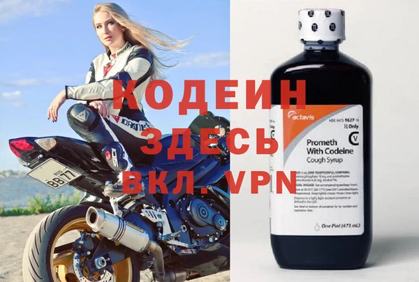 стаф Гусев