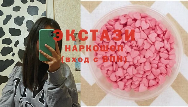 стаф Гусев