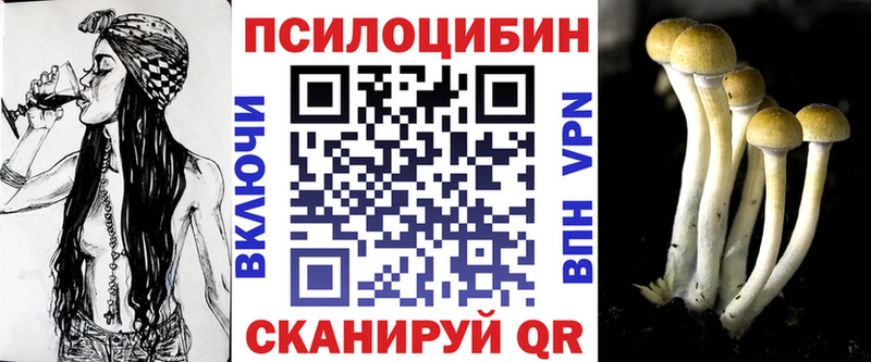 Галлюциногенные грибы Cubensis  Купить где  Майский 
